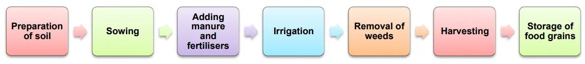 Crop Production And Management Practices Steps