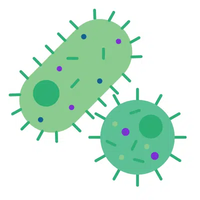 Bacteria-Microorganisms