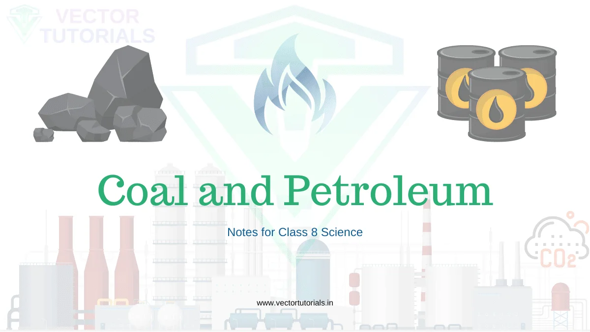 Coal And Petroleum Notes Class 8 Science