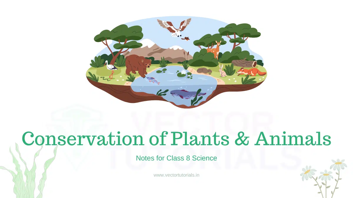 Conservation of plants and animals notes for class 8 science.