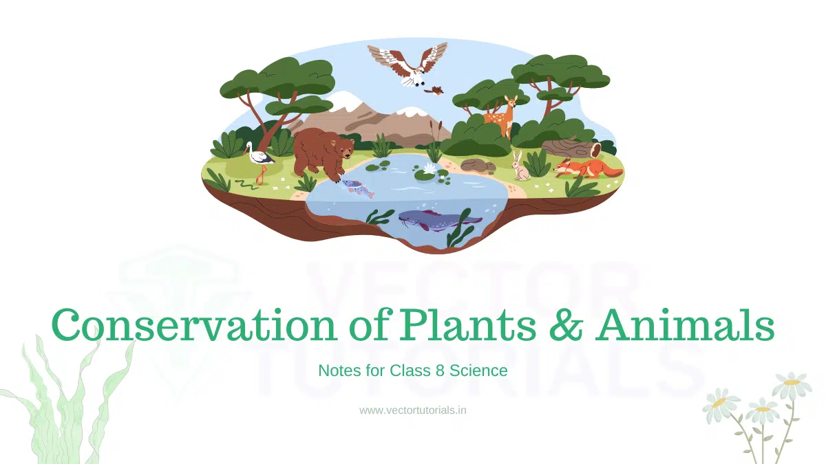 Conservation Of Plants And Animals Notes For Class 8 Science.