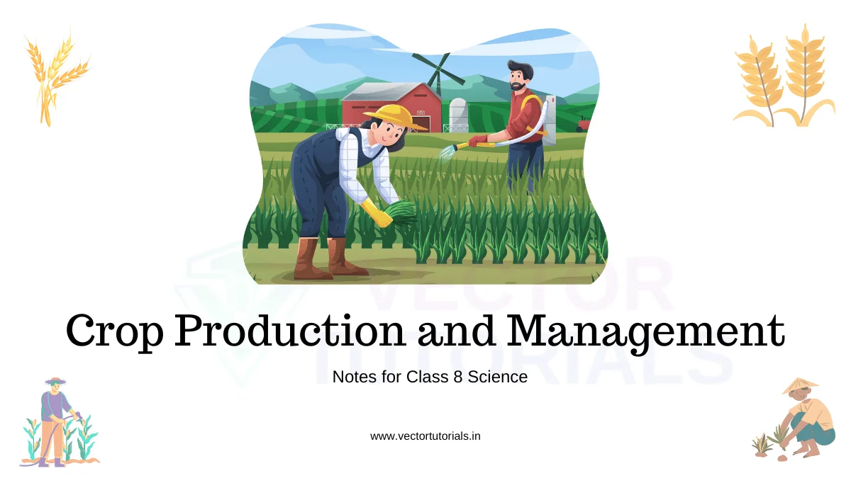 Crop Production and Management Notes Class 8 Science
