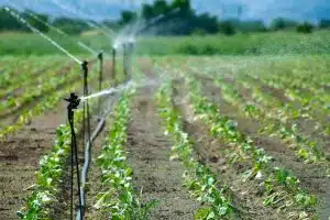 Irrigation In Crop Production And Management