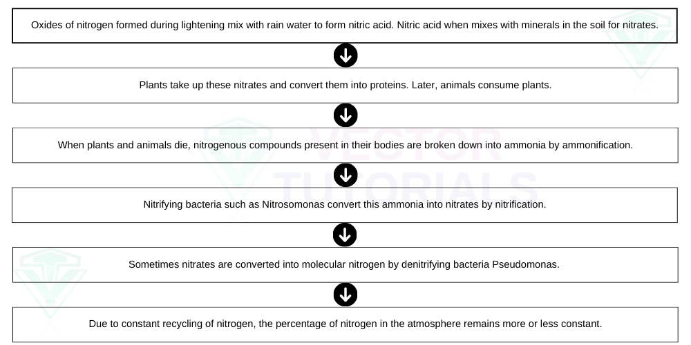 Nitrogen Fixation during lightening