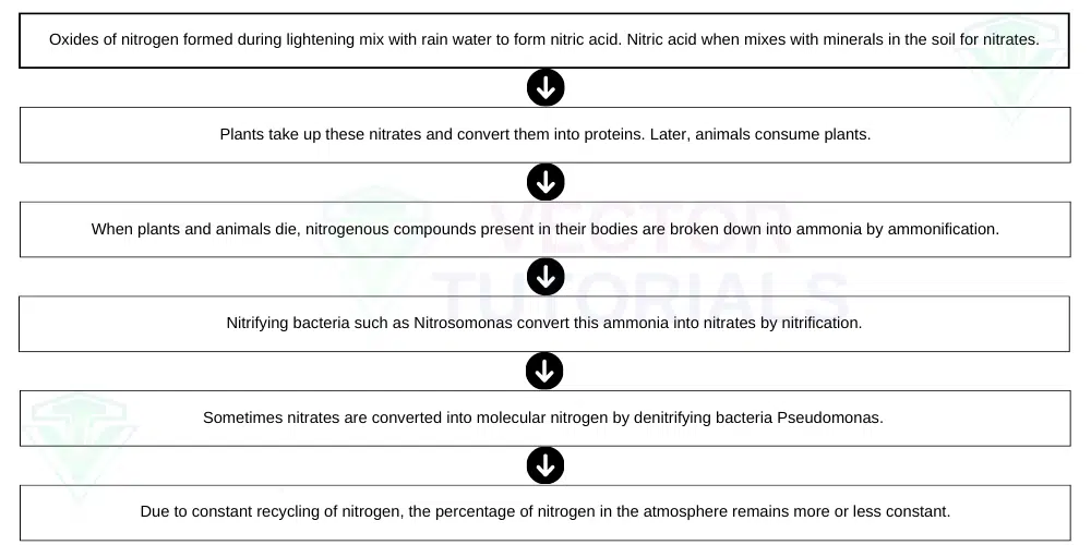 Nitrogen Fixation during lightening