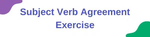 Subject Verb Agreement Exercise